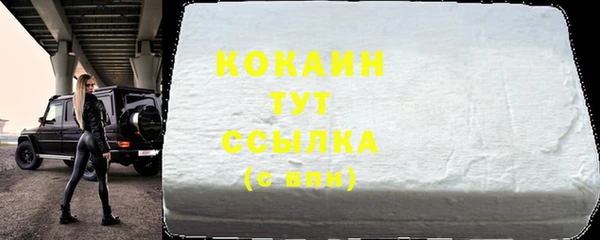 ПСИЛОЦИБИНОВЫЕ ГРИБЫ Осташков