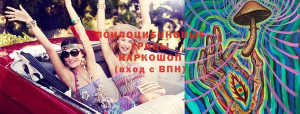 ПСИЛОЦИБИНОВЫЕ ГРИБЫ Осташков