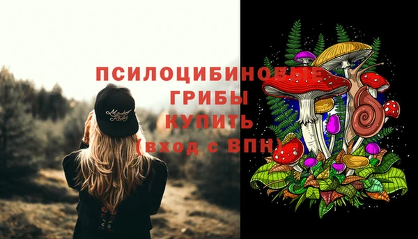 круглые Пестово