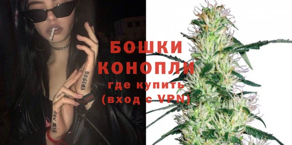 a pvp Пересвет