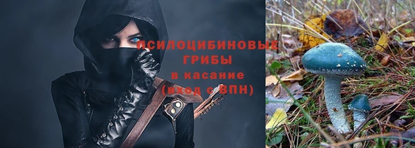 a pvp Пересвет